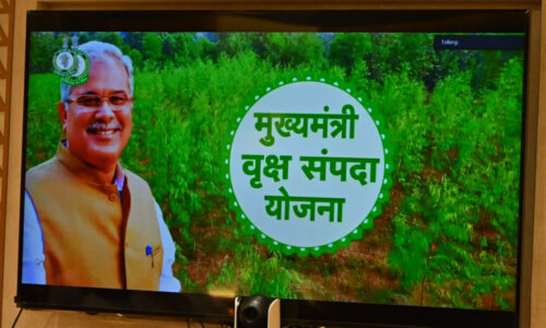 मुख्यमंत्री भूपेश बघेल ने वृक्ष सम्पदा योजना का किया वर्चुअल शुभारंभ