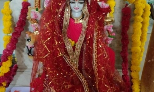 मां सतबहनियां दाई मंदिर चांदनी चौक कुदुदण्ड में  जगत जननी मां दुर्गा की प्रतिमा की स्थापना किया 