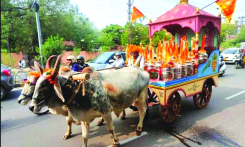 जोधपुर से अयोध्या भेजा गया ११ रथों में ६०० किलो देसी घी  