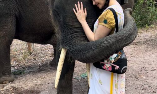 हाथियों को नहलाना मेरे पूरे शरीर का वर्कआउट है-अदा शर्मा